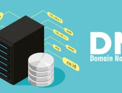 Perbedaan Nameserver dan DNS Untuk Konfigurasi Domain